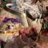 PHOTO COLLECTION: Halloween Costumes Pets